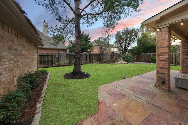 view of yard with a fenced backyard and a patio