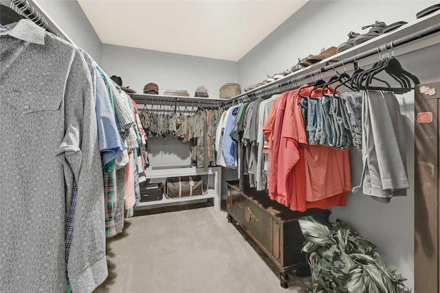 walk in closet featuring light carpet