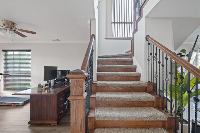 staircase featuring a ceiling fan, wood finished floors, visible vents, and crown molding