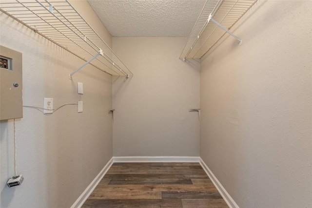 spacious closet featuring dark wood-type flooring