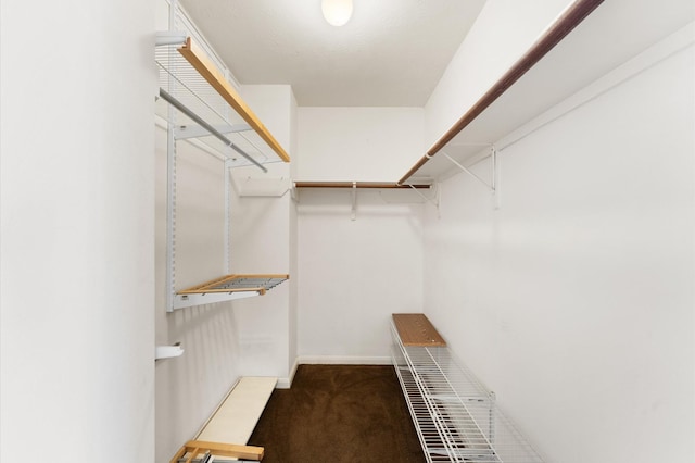 walk in closet featuring carpet flooring