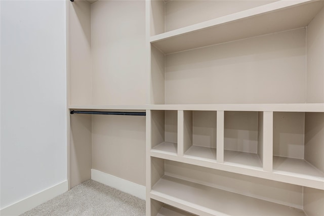 spacious closet with carpet floors