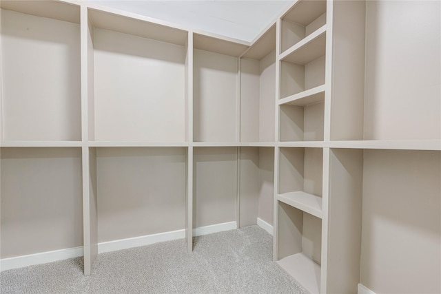 spacious closet featuring light carpet