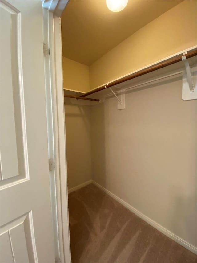 walk in closet with carpet