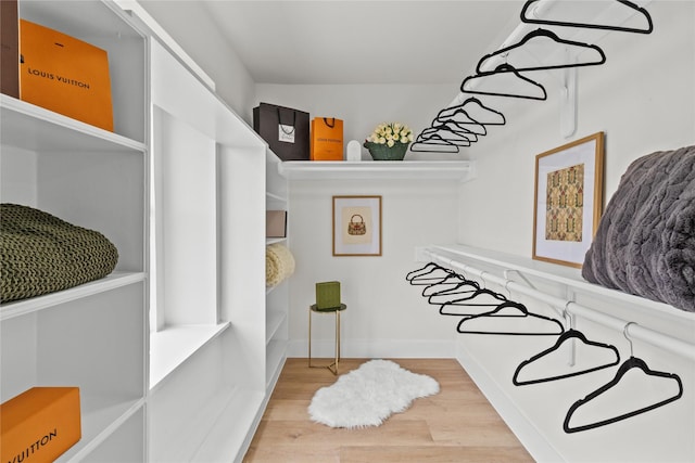 spacious closet featuring light wood finished floors