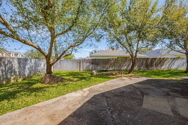 view of yard with a fenced backyard and a patio