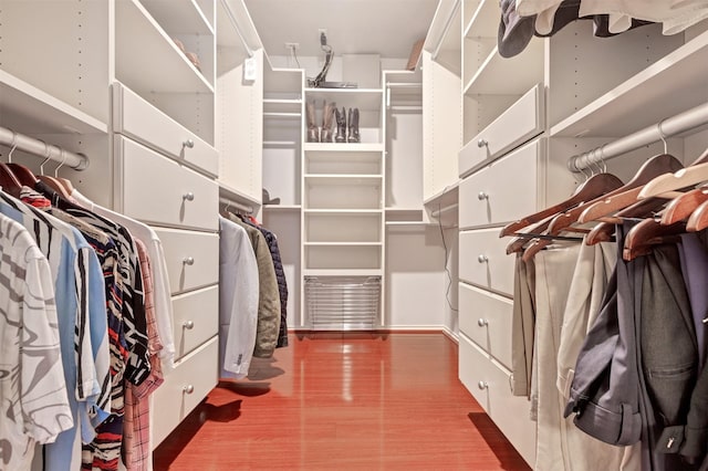 spacious closet featuring wood finished floors