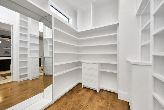 walk in closet with wood finished floors