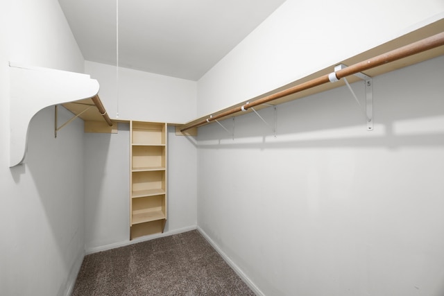 814 Pickford Dr, Katy, TX 77450 - walk in closet with carpet flooring