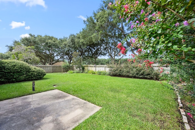 814 Pickford Dr, Katy, TX 77450 - fenced backyard with a patio area