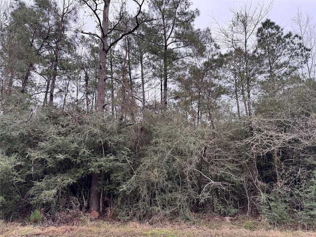 Listing photo 3 for TBD Watson Rd, Trinity TX 75862