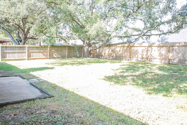 view of yard featuring a fenced backyard