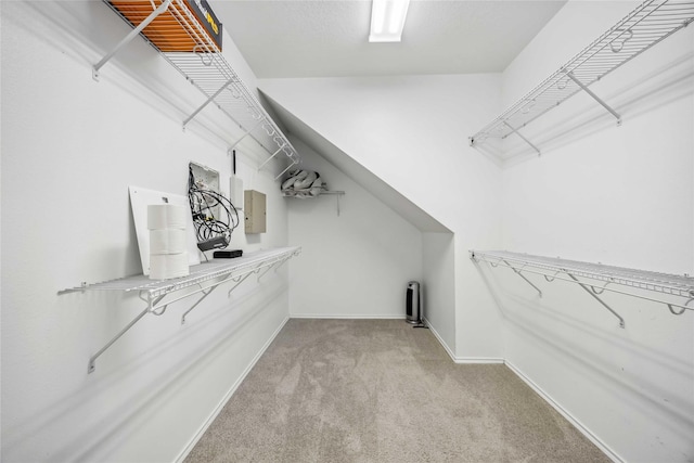 walk in closet with light colored carpet