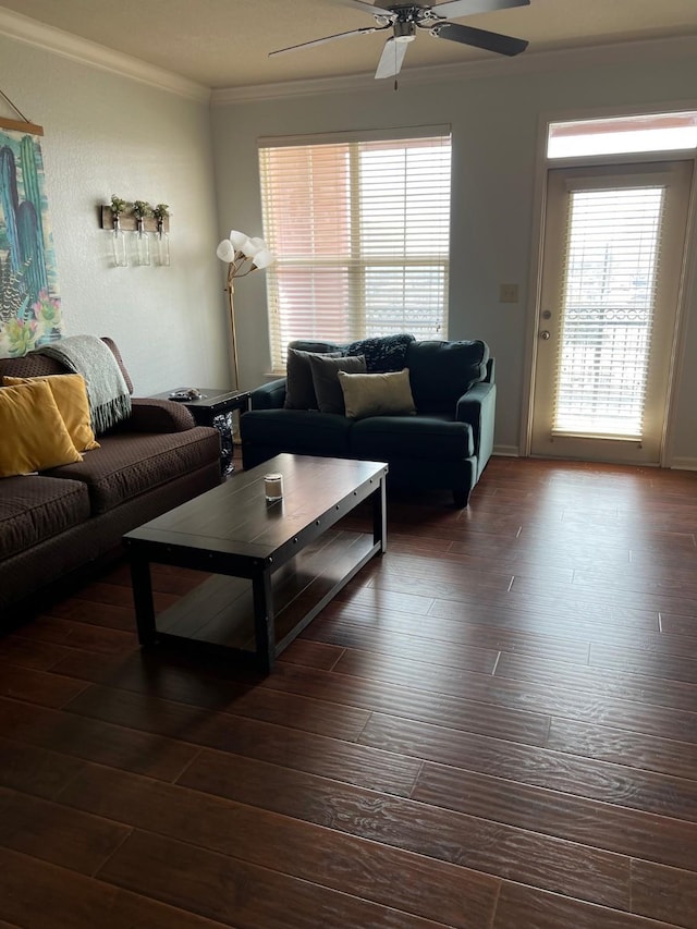 living area featuring ornamental molding, a wealth of natural light, a ceiling fan, and dark wood-style floors