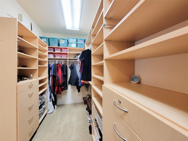 walk in closet with light colored carpet