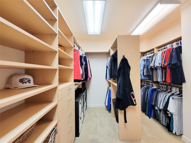 spacious closet with light colored carpet