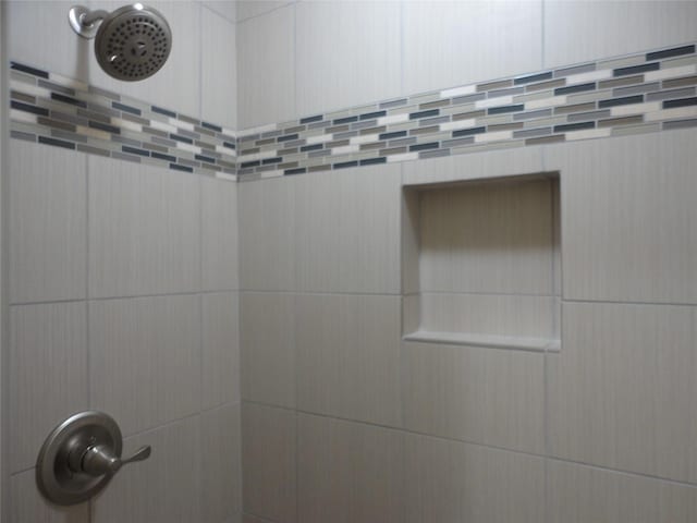 room details with tiled shower