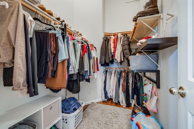 view of walk in closet