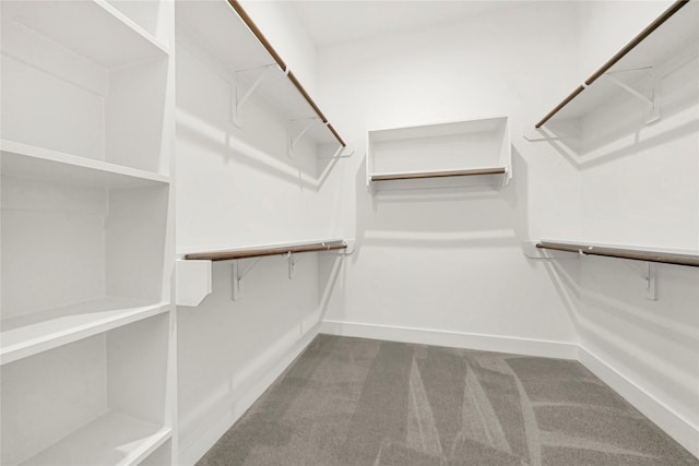 spacious closet with carpet