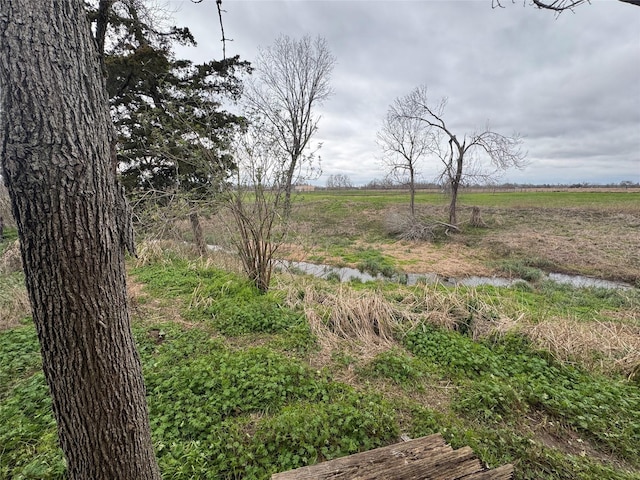 view of yard featuring a rural view