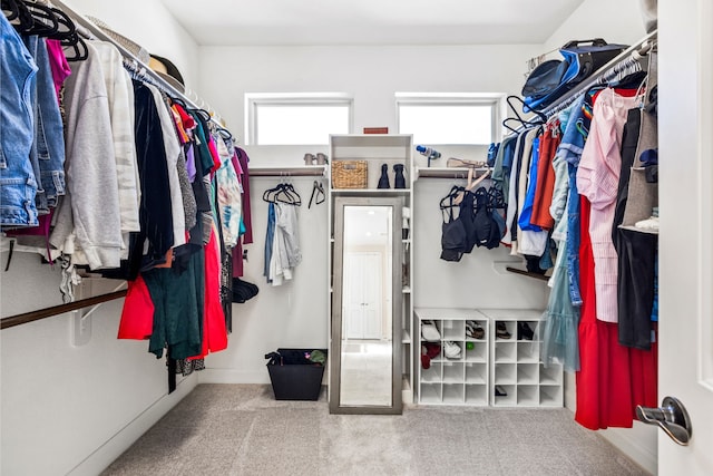 walk in closet featuring carpet