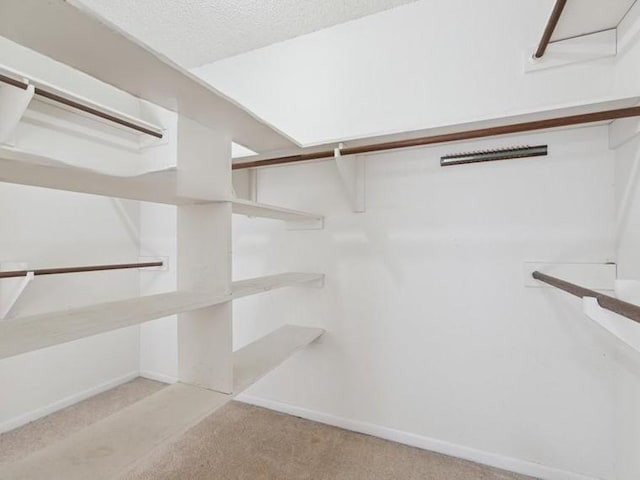 walk in closet featuring light carpet