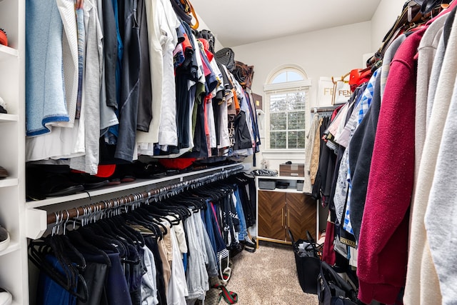 walk in closet with carpet floors