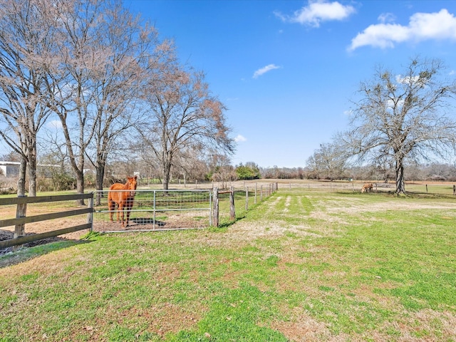 view of yard with a rural view