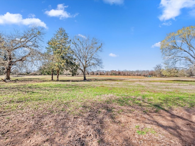 view of yard with a rural view