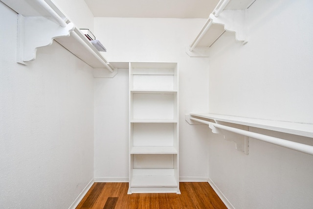 spacious closet featuring dark wood-style floors