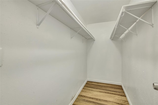 walk in closet featuring wood finished floors