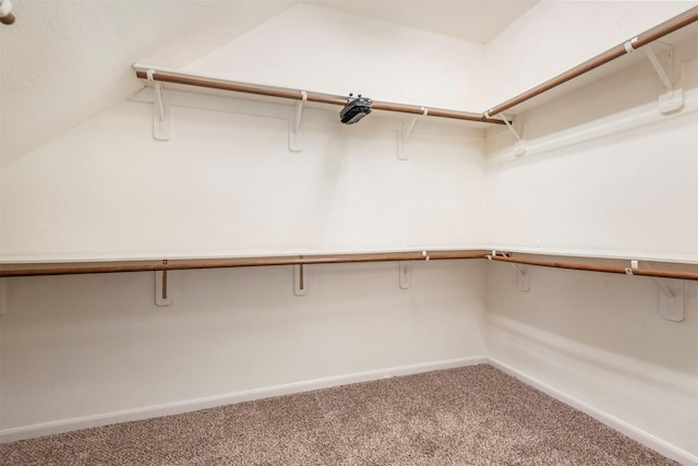 spacious closet featuring carpet floors and vaulted ceiling