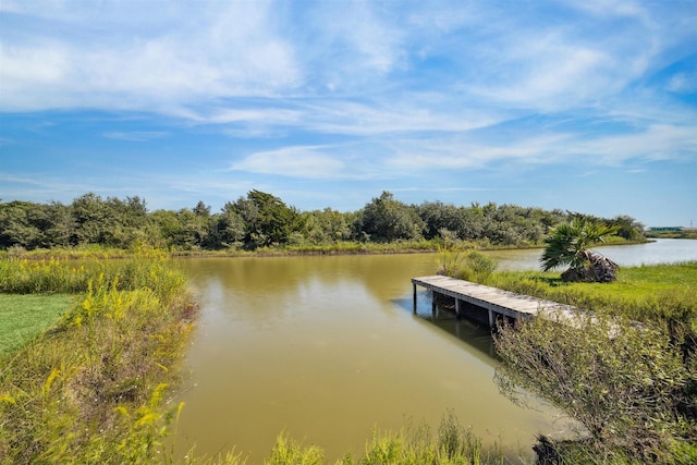 water view featuring a boat dock