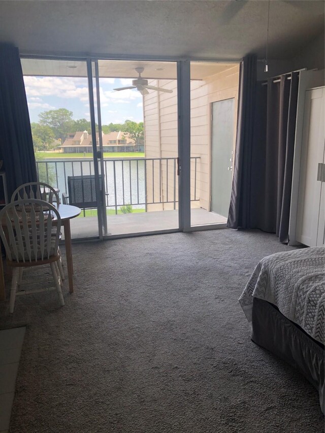 12600 Melville Dr Unit 316B, Montgomery, TX 77356 - bedroom with carpet floors, access to outside, and expansive windows