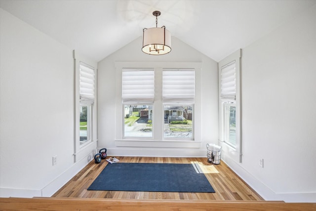 exercise area featuring a healthy amount of sunlight, baseboards, wood finished floors, and lofted ceiling