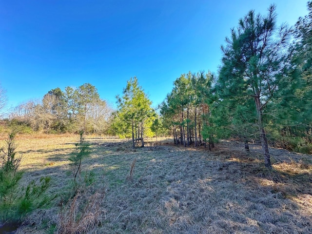 Listing photo 3 for 3ACRES Smith Rd, Centerville TX 75833