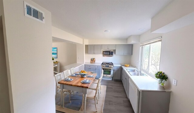 12455 Melville Dr Unit 5, Montgomery, TX 77356 - kitchen featuring stainless steel appliances, gray cabinets, light countertops, visible vents, and a sink
