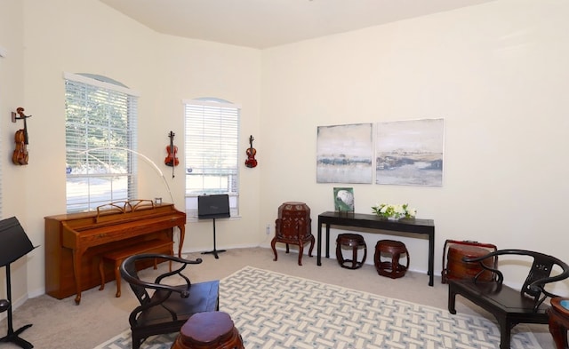 sitting room with carpet flooring