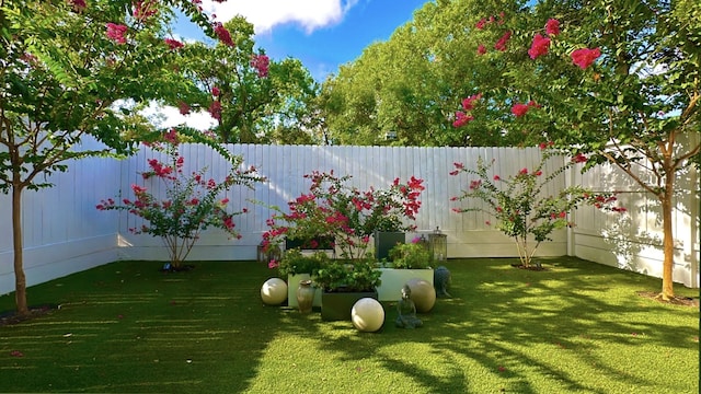 view of yard featuring a fenced backyard