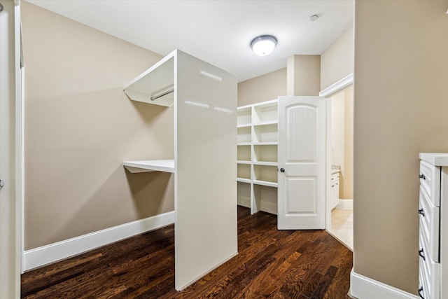 walk in closet with dark wood-style floors