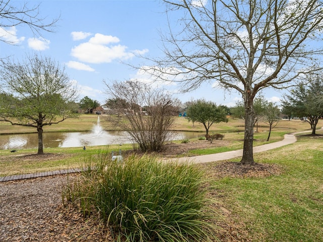 24510 Foxberry Glen Ln, Katy, TX 77494 - view of home's community with a lawn and a water view