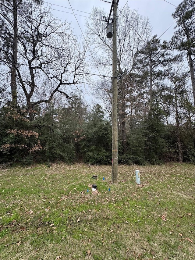 Listing photo 2 for LOT183 Sequoia Ln, Onalaska TX 77360