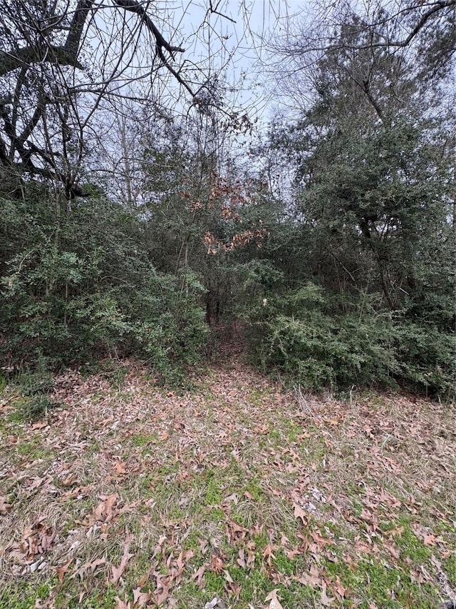 Listing photo 3 for LOT183 Sequoia Ln, Onalaska TX 77360