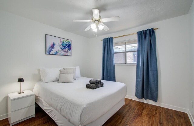 5542 Holly St Unit 209, Houston, TX 77081 - photo 11