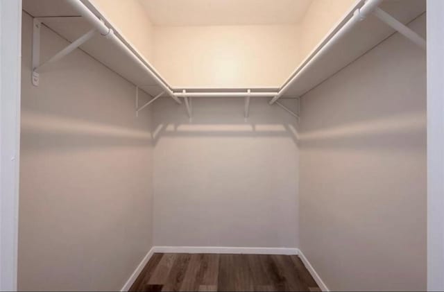 walk in closet with dark wood-style flooring