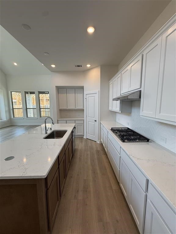 27015 Aurora Garden Ln, Katy, TX 77493 - kitchen with a sink, wood finished floors, recessed lighting, under cabinet range hood, and light stone countertops