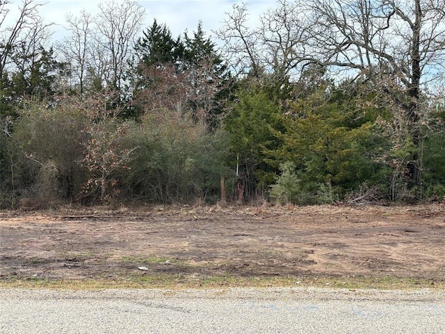 TBD Shadow Oak Dr, Bastrop TX, 78602 land for sale