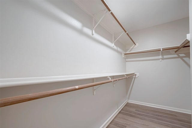 walk in closet featuring wood finished floors