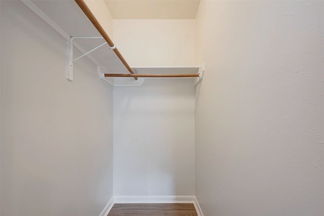 spacious closet featuring wood finished floors