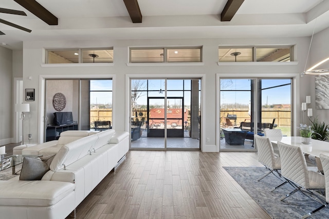 living room with plenty of natural light, a high ceiling, and wood finished floors